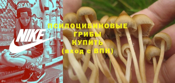 PSILOCYBIN Абинск